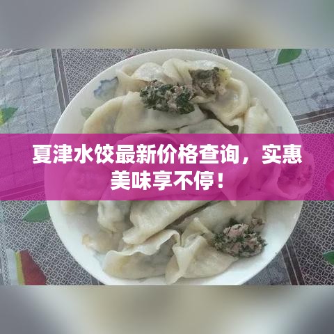 夏津水餃最新價格查詢,實惠美味享不停!