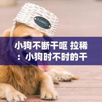 小狗不斷干嘔 拉?。盒」窌r不時的干嘔但吃喝拉撒正常 