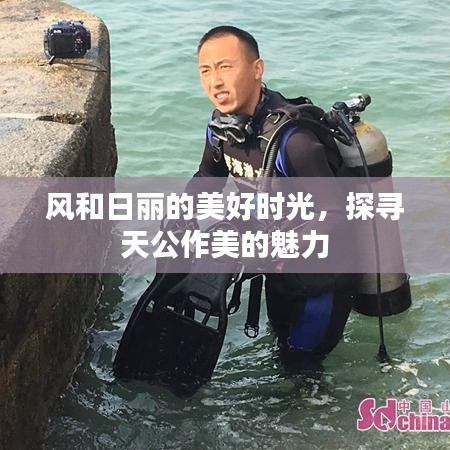 風和日麗的美好時光,探尋天公作美的魅力