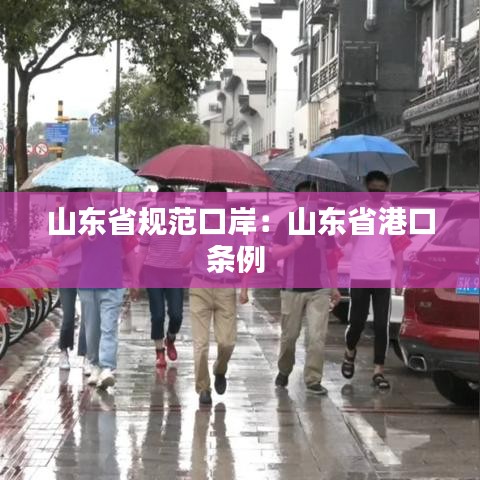 山東省規范口岸:山東省港口條例