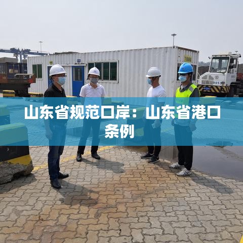 山東省規范口岸:山東省港口條例