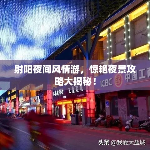 射陽(yáng)夜間風(fēng)情游,驚艷夜景攻略大揭秘!