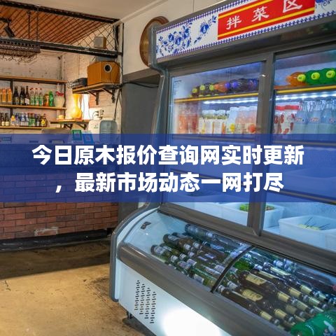 今日原木報價查詢網實時更新,最新市場動態一網打盡