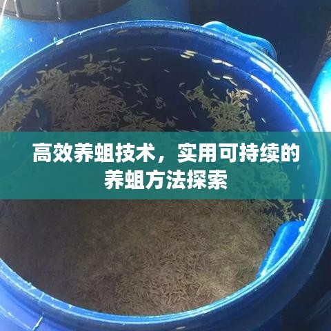 高效養蛆技術,實用可持續的養蛆方法探索