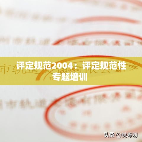評定規范2004:評定規范性專題培訓