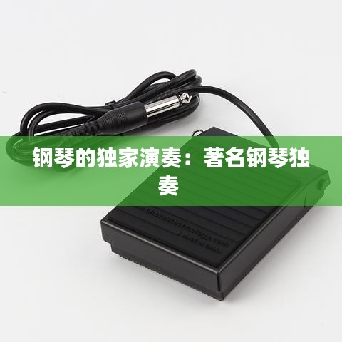 鋼琴的獨家演奏:著名鋼琴獨奏