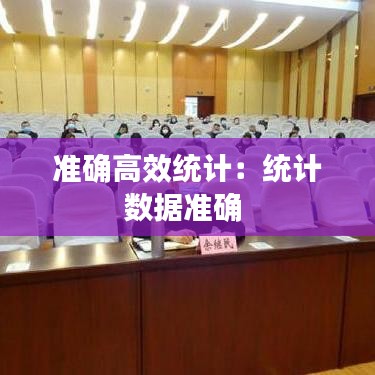 準確高效統計:統計數據準確