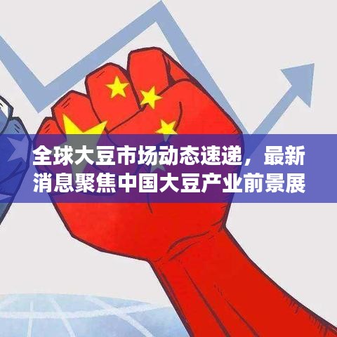 全球大豆市場(chǎng)動(dòng)態(tài)速遞,最新消息聚焦中國(guó)大豆產(chǎn)業(yè)前景展望
