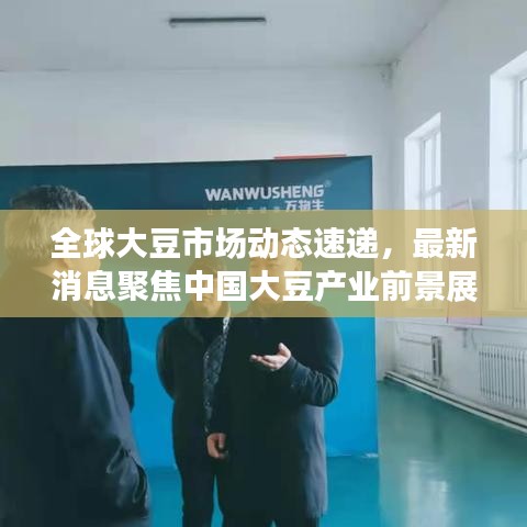 全球大豆市場(chǎng)動(dòng)態(tài)速遞,最新消息聚焦中國(guó)大豆產(chǎn)業(yè)前景展望