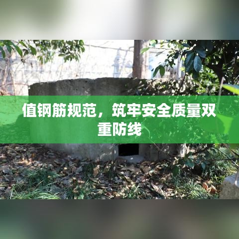 值鋼筋規范,筑牢安全質量雙重防線