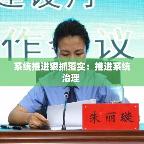 系統推進狠抓落實:推進系統治理