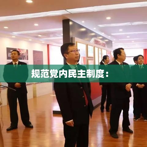 規范黨內民主制度： 