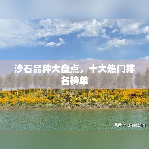 首當其沖 第2頁