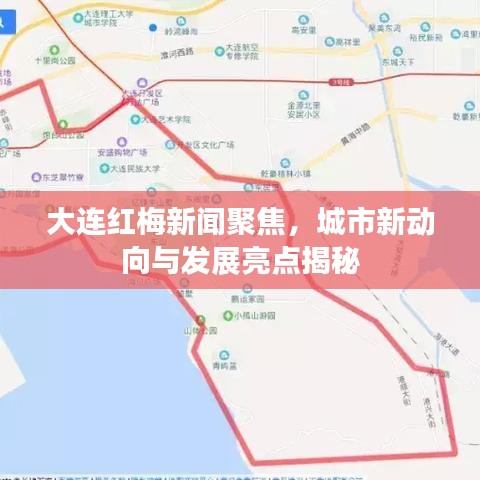大連紅梅新聞聚焦,城市新動向與發(fā)展亮點揭秘