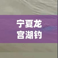 寧夏龍宮湖釣魚秘籍,最新攻略全解析!