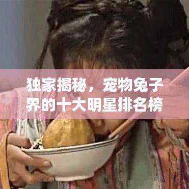 獨家揭秘,寵物兔子界的十大明星排名榜!