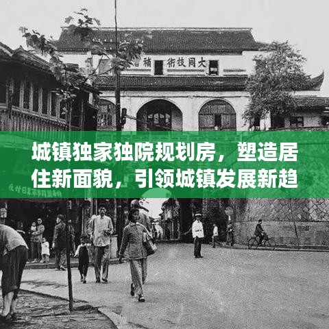 城鎮獨家獨院規劃房,塑造居住新面貌,引領城鎮發展新趨勢