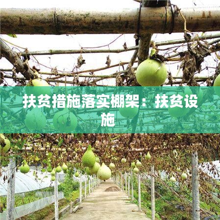 扶貧措施落實棚架:扶貧設施