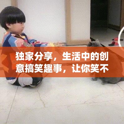 獨家分享,生活中的創(chuàng)意搞笑趣事,讓你笑不停歇!