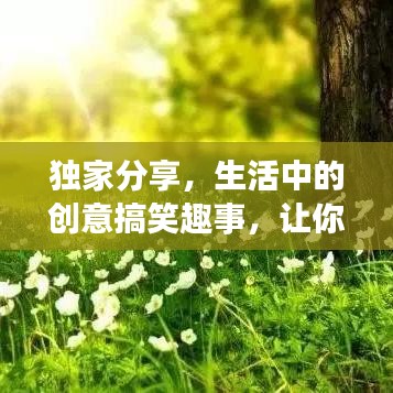 獨家分享,生活中的創(chuàng)意搞笑趣事,讓你笑不停歇!