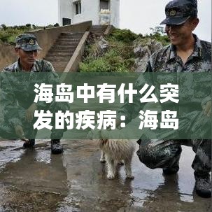 海島中有什么突發(fā)的疾病:海島現(xiàn)狀