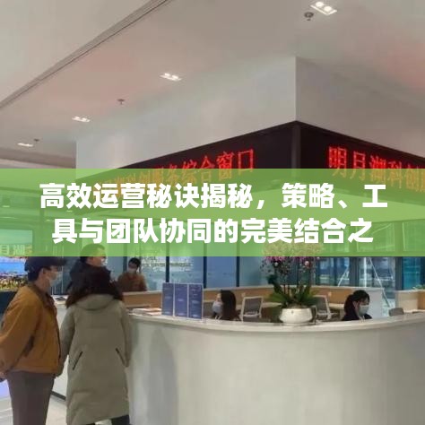 高效運營秘訣揭秘,策略、工具與團隊協(xié)同的完美結(jié)合之道