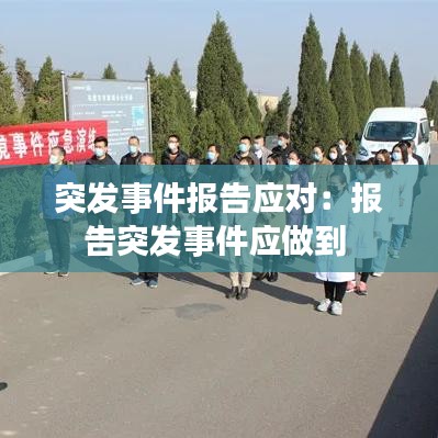 突發(fā)事件報(bào)告應(yīng)對(duì):報(bào)告突發(fā)事件應(yīng)做到