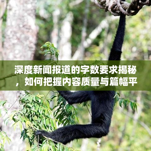 深度新聞報(bào)道的字?jǐn)?shù)要求揭秘,如何把握內(nèi)容質(zhì)量與篇幅平衡?