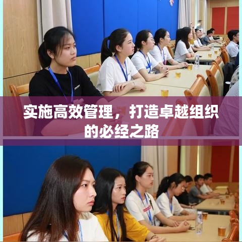 實施高效管理,打造卓越組織的必經(jīng)之路