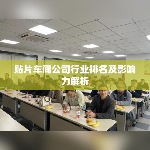 貼片車間公司行業排名及影響力解析