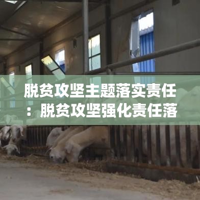 脫貧攻堅主題落實責任:脫貧攻堅強化責任落實