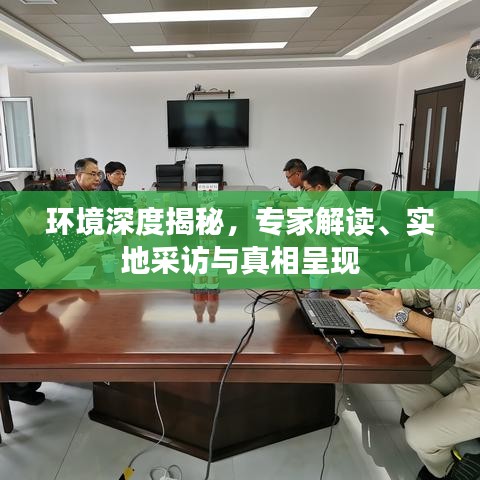 環境深度揭秘,專家解讀、實地采訪與真相呈現