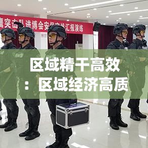 區域精干高效:區域經濟高質量發展舉措