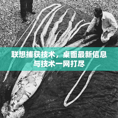 聯想捕獲技術,桌面最新信息與技術一網打盡