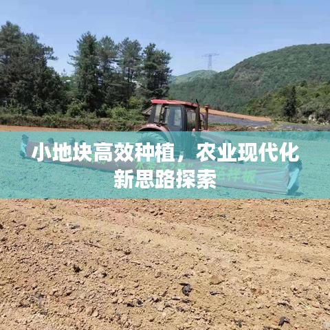 小地塊高效種植,農業現代化新思路探索