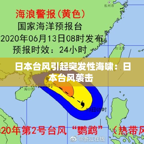 日本臺風引起突發性海嘯:日本臺風襲擊