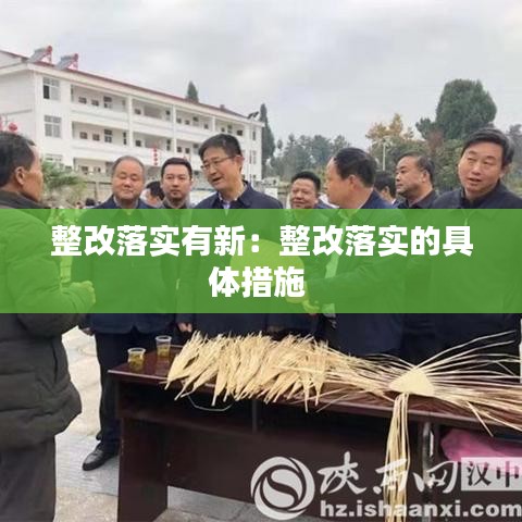 整改落實(shí)有新:整改落實(shí)的具體措施