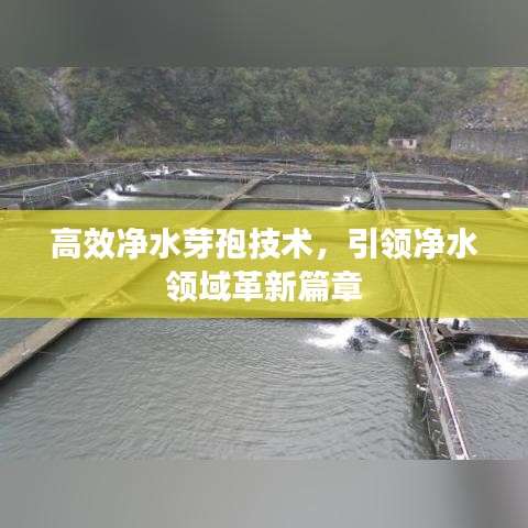 高效凈水芽孢技術,引領凈水領域革新篇章