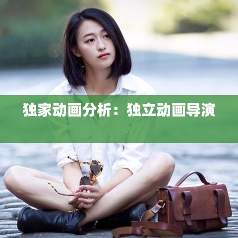 獨(dú)家動(dòng)畫分析:獨(dú)立動(dòng)畫導(dǎo)演
