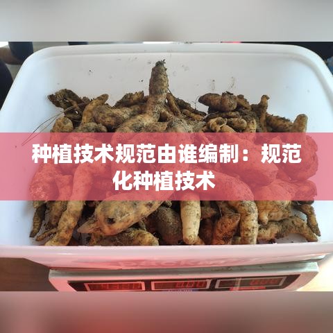 種植技術(shù)規(guī)范由誰編制:規(guī)范化種植技術(shù)
