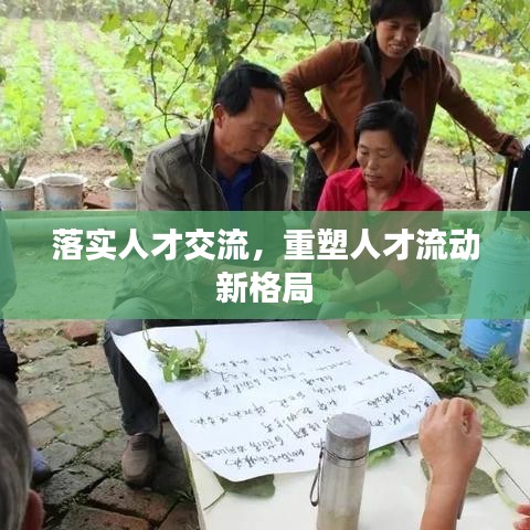 落實人才交流,重塑人才流動新格局