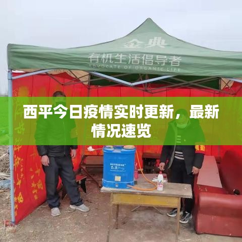 西平今日疫情實時更新,最新情況速覽