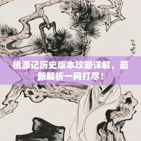 桃源記歷史版本攻略詳解,最新解析一網打盡!
