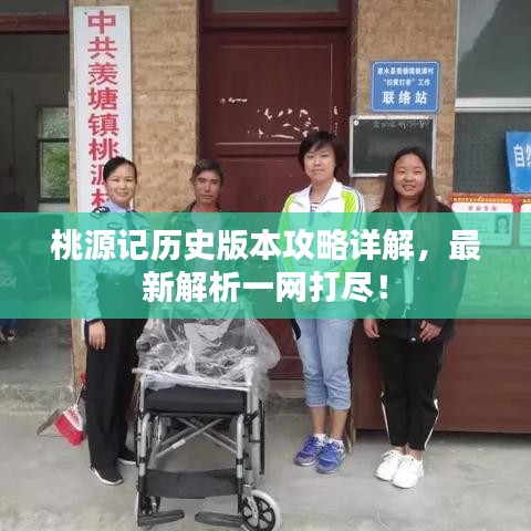 桃源記歷史版本攻略詳解,最新解析一網打盡!