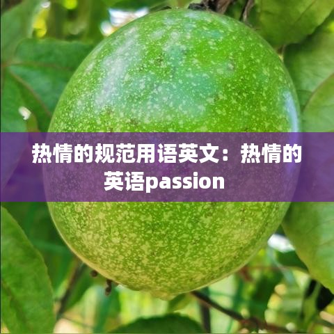 熱情的規(guī)范用語(yǔ)英文:熱情的英語(yǔ)passion