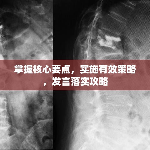 掌握核心要點,實施有效策略,發言落實攻略