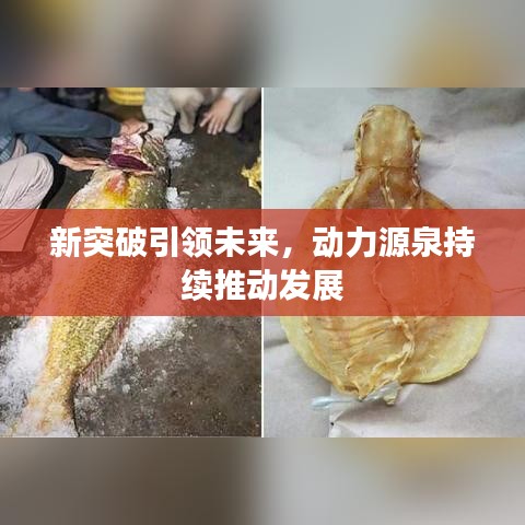 新突破引領(lǐng)未來(lái),動(dòng)力源泉持續(xù)推動(dòng)發(fā)展