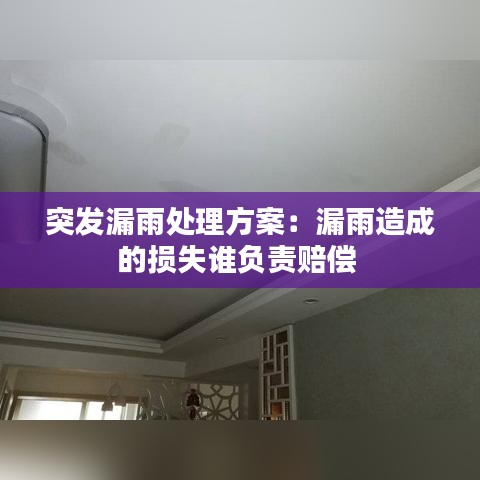 突發(fā)漏雨處理方案:漏雨造成的損失誰負(fù)責(zé)賠償