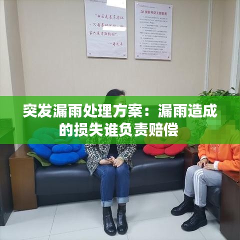 突發漏雨處理方案:漏雨造成的損失誰負責賠償