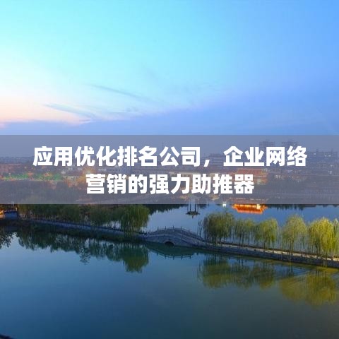 應(yīng)用優(yōu)化排名公司,企業(yè)網(wǎng)絡(luò)營銷的強(qiáng)力助推器
